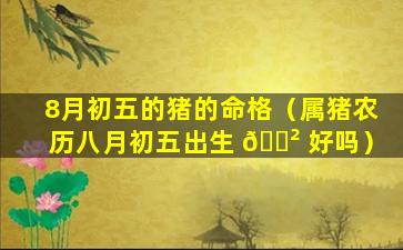 8月初五的猪的命格（属猪农历八月初五出生 🌲 好吗）